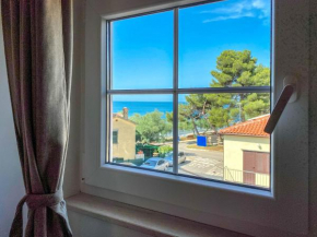 Viviana Ana, Novigrad